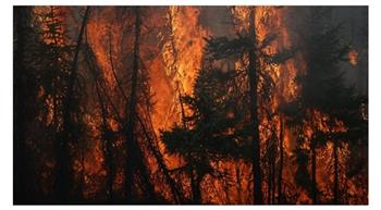   الرئيس الكازاخستاني يتفقد جهود إطفاء حرائق الغابات شرق البلاد