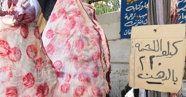 محافظ قنا يعلن عن بيع لحوم بلدية بسعر 220 جنيها 