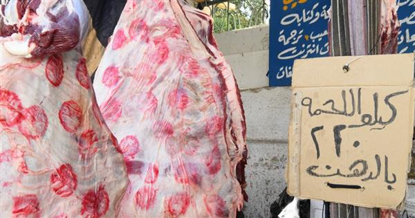 محافظ قنا يعلن عن بيع لحوم بلدية بسعر 220 جنيها
