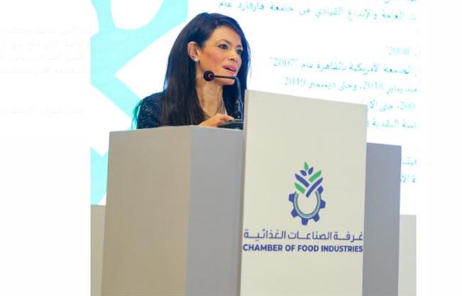 المشاط تستعرض البرامج المشتركة مع بنكي الدولي والأفريقي والاتحاد الأوروبي والصناديق العربية