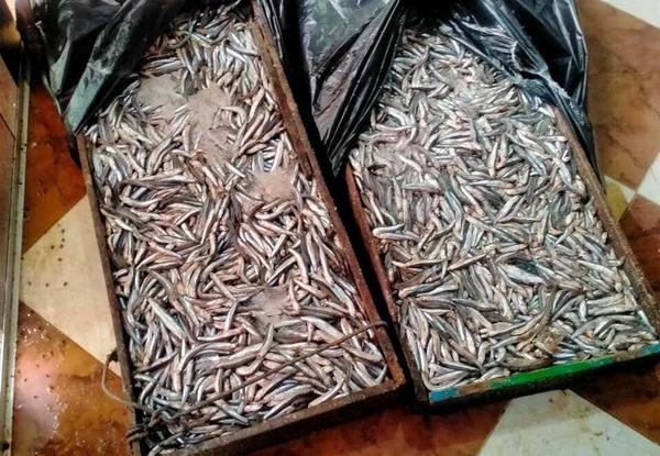 ضبط 2 طن لحوم وأسماك وملح وفراولة غير صالحة للإستهلاك الآدمى بالبحيرة 