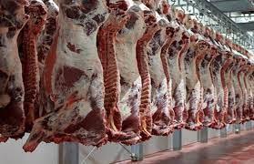   التموين: توفير 100 ذبيحة سودانية يوميا و250 طنا من اللحوم البرازيلى