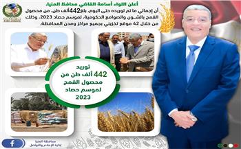   القاضي : صوامع المنيا استقبلت 442 ألف طن من محصول القمح