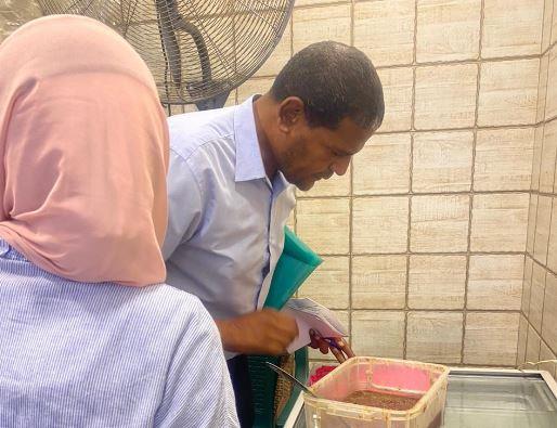 غلق 86 منشأة وتحرير 936 محضرًا متنوعًا و218 ألفًا غرامات فورية خلال أسبوع بالإسكندرية