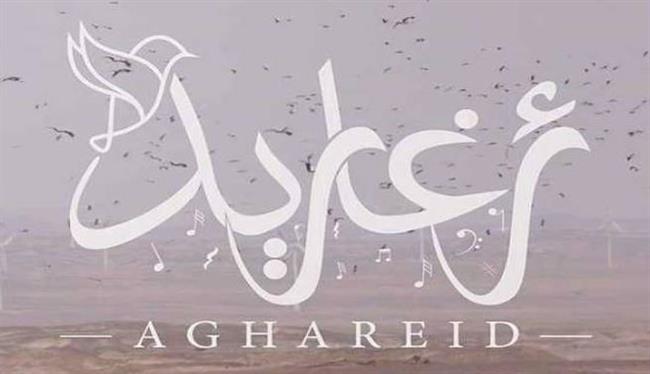 الفيلم الوثائقي المصري «أغاريد» يشارك في مهرجان سينمائي دولي بأمريكا