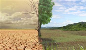   بيان الأمانة العامة بمناسبة اليوم العالمي لمكافحة التصحر والجفاف