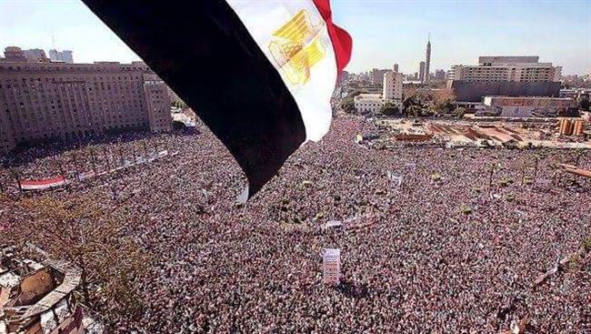 30 يونيو.. ثورة تحقق إنجازات غير مسبوقة في القطاع الزراعي