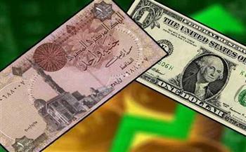 استقرار أسعار الدولار مقابل الجنيه في بداية تعاملات اليوم