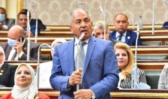رئيس لجنة الدفاع بالنواب: استقرار ليبيا مرتبط بالأمن القومي المصري
