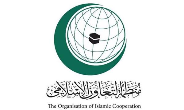 «التعاون الإسلامي» تدين اقتحام الاحتلال الإسرائيلي لمدينة جنين