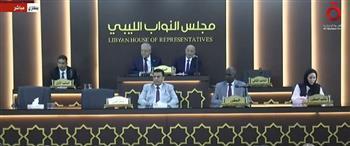 عضو بـ«النواب»: شعبا مصر وليبيا مترابطان دائما