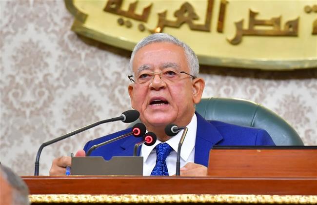 جبالي: أجرينا زيارة تاريخية لمجلس النواب الليبي