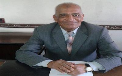 أستاذ اقتصاد زراعى: مصر أصبحت مركزا لوجيستيا فى تداول الحبوب وتخزينها