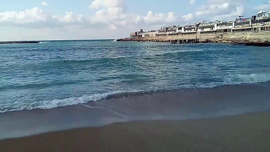 سياحة الإسكندرية: صورة السمكة المنتشرة تسمى «مارينا» وتعيش بالبحر بشكل طبيعي