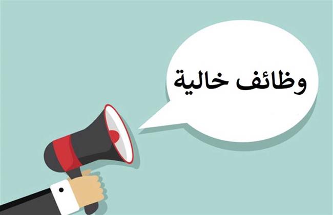 وزارة العمل تعلن عن فرص عمل للشباب بالإسكندرية