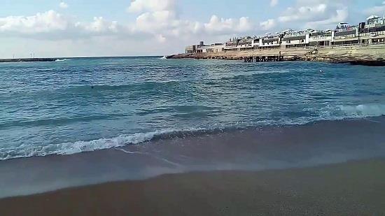 سياحة الإسكندرية: صورة السمكة المنتشرة تسمى «مارينا» وتعيش بالبحر بشكل طبيعي