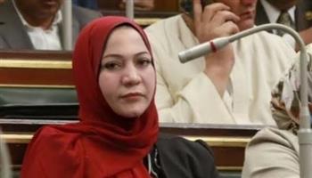 عضو "طاقة النواب": كلمة الرئيس في قمة" التمويل العالمي" بفرنسا كاشفة للتحديات التي تواجه الدول النامية