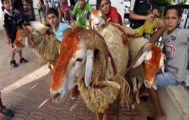 عيد الأضحى.. عادات وتقاليد مختلفة و"غريبة" بين الشعوب