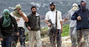   مُستوطنون إسرائيليون يحرقون أرضًا زراعية في "ترمسعيا" شمال رام الله