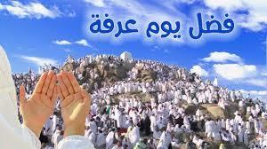 صيام يوم عرفة .. احذر هذا الشخص صومه مكروها شرعاً