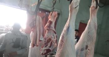   بمناسبة عيد الأضحى.. بيع اللحوم بأسعار مخفضة فى محافظة الغربية