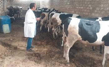   علاج 21 ألف و765 رأس ماشية وتحصين 5267 ضد الأمراض المختلفة بالبحيرة