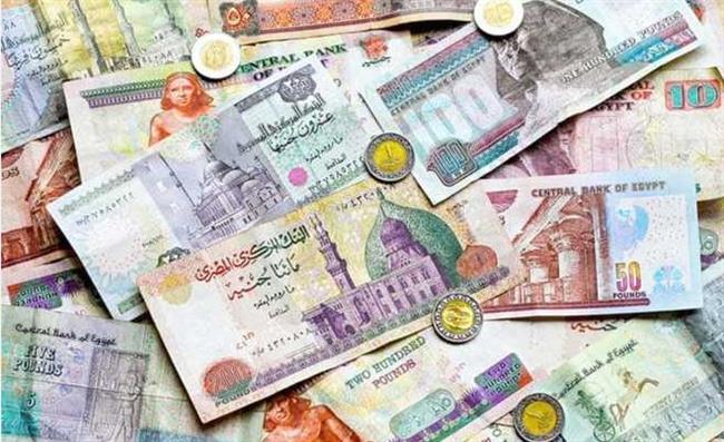 وزير المالية: طرح 50 مليون جنيه من «الفكة» بمناسبة عيد الأضحى