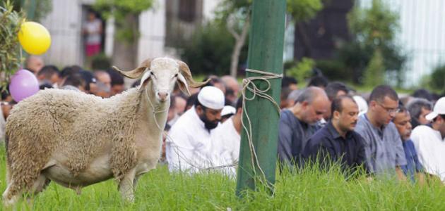 10 دول لم تحتفل اليوم بأول أيام عيد الأضحى المبارك.. تعرف عليهم
