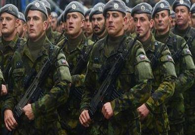 جيش التشيك يحتفل بمرور 30 عاما على إنشائه