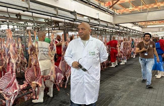 بعثة الأطباء البيطريين المصريين تبدأ الكشف على الأضاحي بمجازر منى بالسعودية