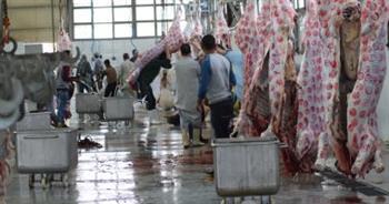 ذبح 2380 رأس ماشية بمجازر الشرقية والغربية على مدار يومين