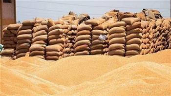 تموين الدقهلية: توريد 321 ألفا و946 طنا و926 كيلو جرام قمح على مستوى المحافظة حتى اليوم