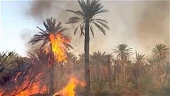 السيطرة على حريق بمزرعة نخيل فى قرى درب الأربعين دون إصابات بالوادى الجديد