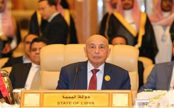   ليبيا.. لقاء مرتقب بين رئيسي النواب والدولة لمناقشة نتائج اجتماعات لجنة 6+6