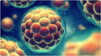   علماء أمريكيون يخترقون الخلايا البشرية لصنع الأنسولين