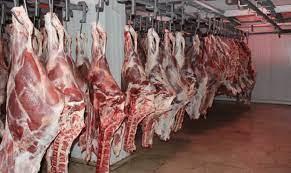 التموين: لدينا مخزون كاف من اللحوم بأسعار مناسبة قبل عيد الأضحى