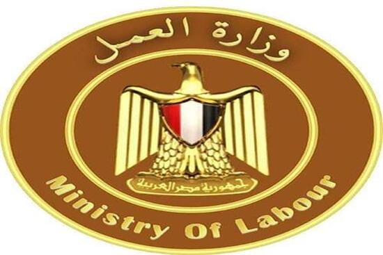 وزارة العمل تعلن عن فرص عمل لذوى الهمم بالقاهرة