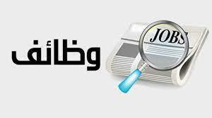 وزارة العمل: توفير 85 فرصة عمل للشباب من الجنسين بالإسكندرية