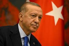   أردوغان يعتزم تقديم مقترح لتعديل الدستور إلى البرلمان التركى