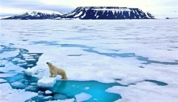 مجلة "نيتشر" البريطانية: الوقت نفد لإنقاذ الجليد في فترة الصيف بالقطب الشمالي