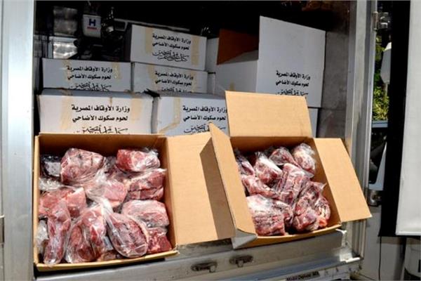 لتوزيعها على الأسر الأولى بالرعاية.. ذبح 70 أضحية فى ثالث أيام عيد الأضحى في البحيرة
