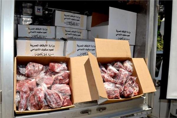 لتوزيعها على الأسر الأولى بالرعاية.. ذبح 70 أضحية فى ثالث أيام عيد الأضحى في البحيرة
