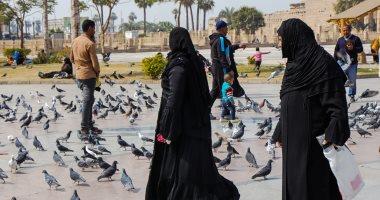 بأسراب بديعة من الحمام.. ميدان أبو الحجاج الأقصرى يتحول لميدان أوروبى