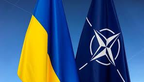  أستاذ قانون الدولي: قمة الناتو ستضاعف من دعم الدول الأعضاء لأوكرانيا