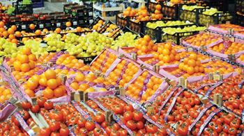   خبير اقتصادي: الارتقاء بمستوى المنتجات الزراعية المصرية أدى إلى زيادة الصادرات