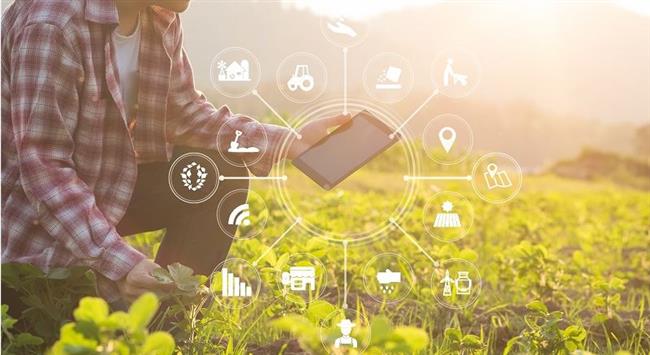 الأمم المتحدة تدعو بشكل عاجل إلى استخدام الزراعة الرقمية لمواجهة تغير المناخ