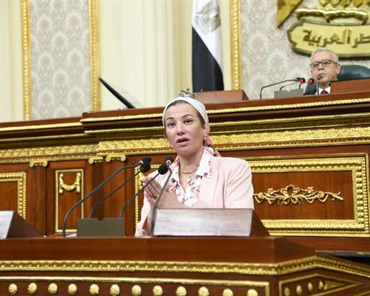 وزيرة البيئة أمام النواب: تفريغ الفحم من جهة البحر للحد من تكدس الموانئ