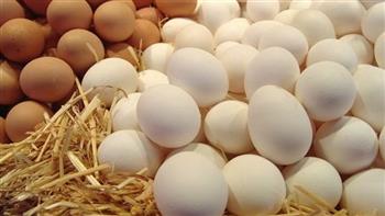   شعبة الدواجن تكشف سبب انخفاض أسعار البيض اليوم