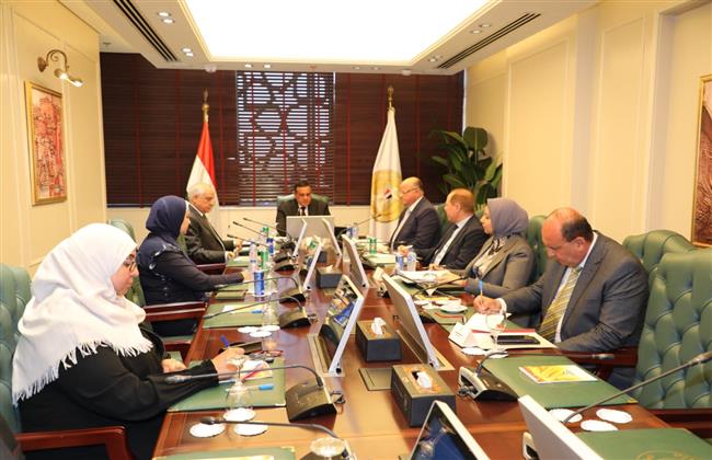 "التنمية" تتابع مع القاهرة والجيزة معدلات تنفيذ المشروعات الخدمية للمحافظتين