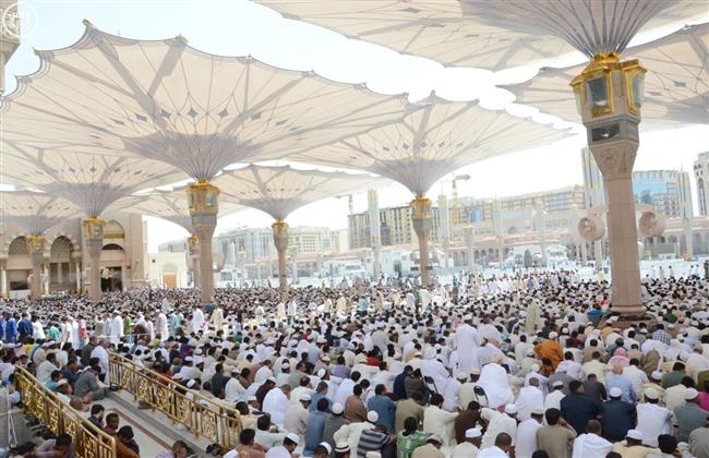 أكثر من 431 ألف حاج يصلون إلى المدينة المنورة